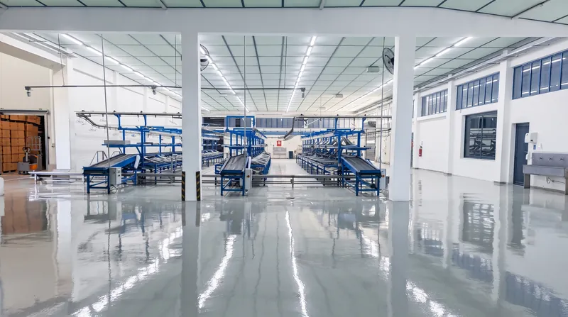 The packing hall of the Mintzilis packing house with its three sorting lines