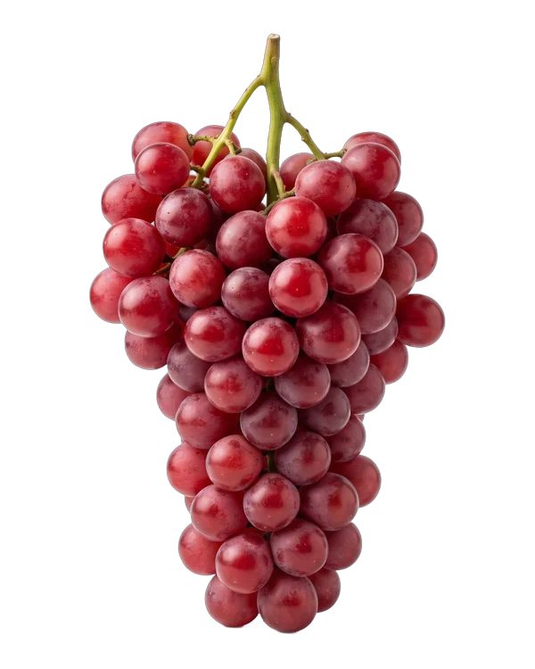 Bunch of Red Globe grapes, a red seeded variety