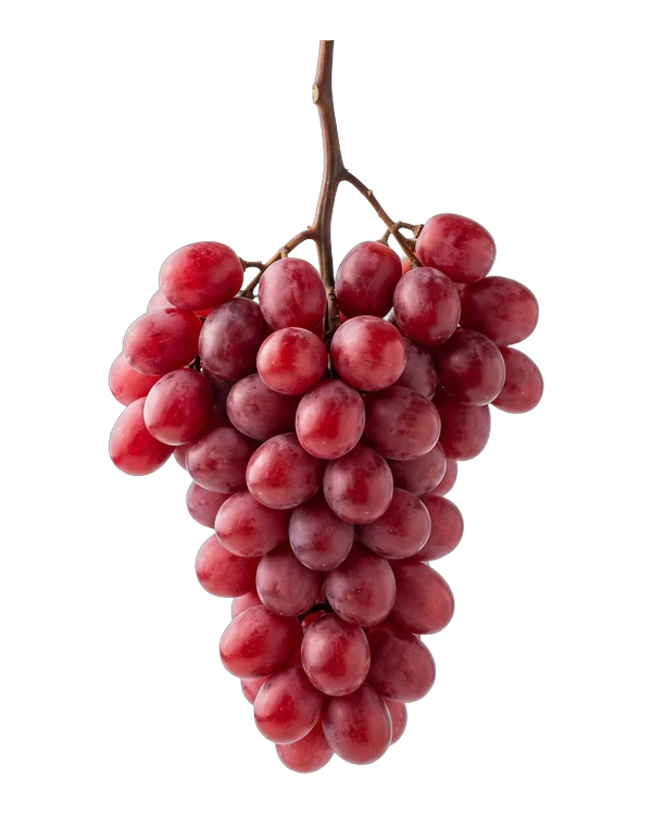 Bunch of Sweet Celebration grapes, a red seedless variety